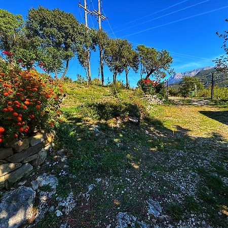 Georgaras Accommodation Platanoussa Экстерьер фото