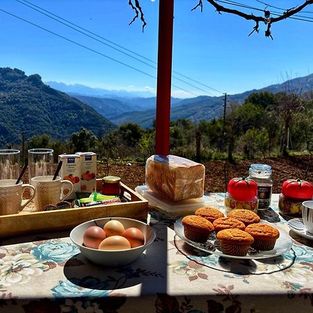 Georgaras Accommodation Platanoussa Экстерьер фото